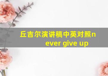 丘吉尔演讲稿中英对照never give up